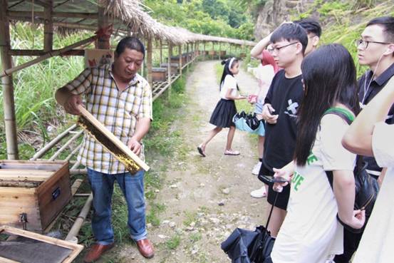 ”善行景宁乡,共圆畲汉梦“91论坛
景宁梦之队-实地调研当地养蜂业